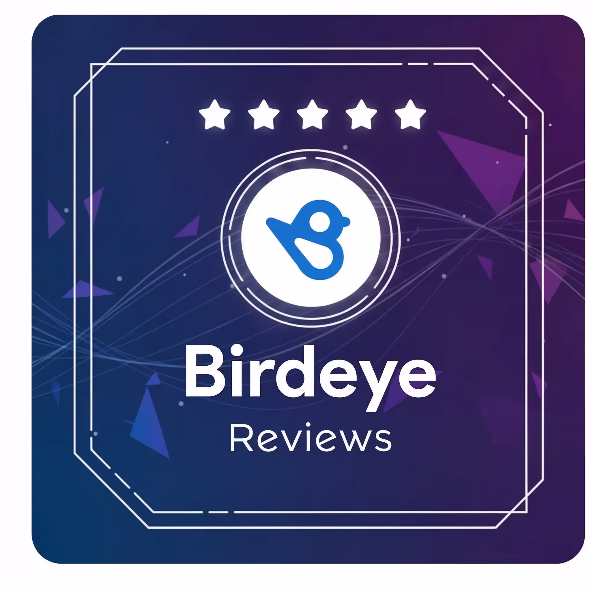 Buy-Birdeye-Reviews.avif